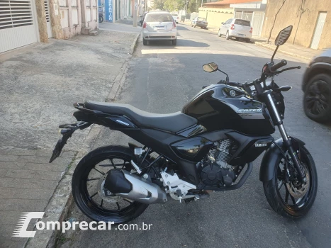 Fz15