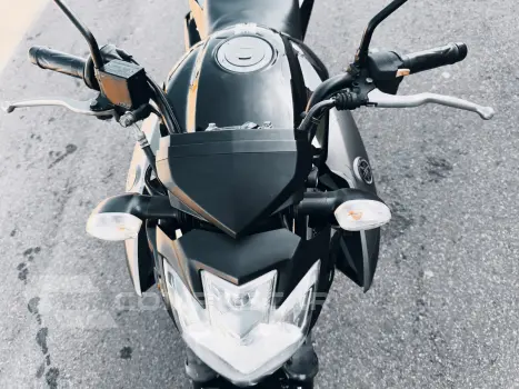 FAZER 250 BLUEFLEX