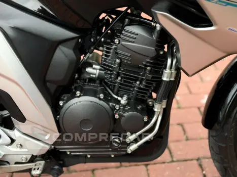 FZ25 FAZER