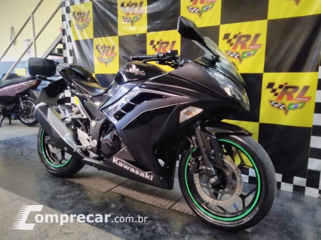 Ninja 300