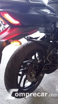 DOMINAR 250