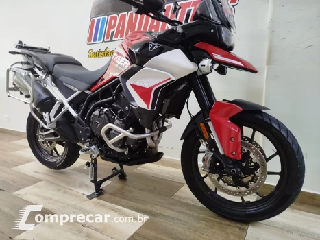 Tiger 900 GT ARAGÓN
