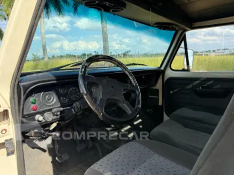 F-1000 3.9 Super Serie 4X2 CS 8V Turbo