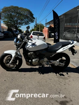 hornet 600