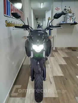 Fazer FZ25