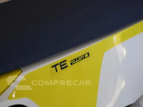 FE 250