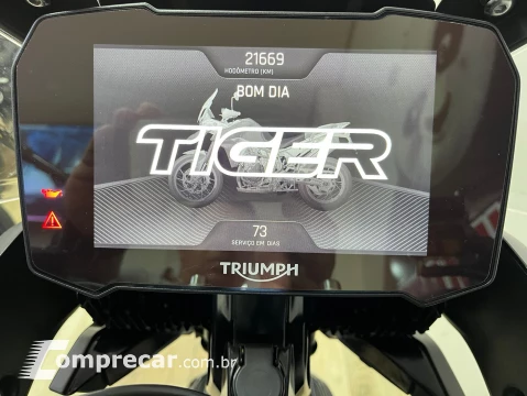 Triumph TIGER 900 GT