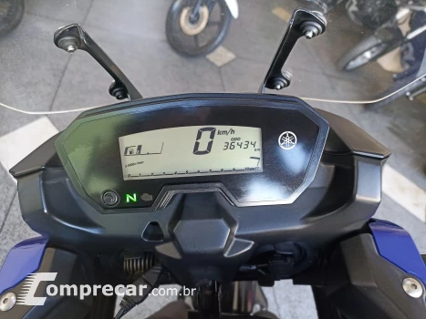 XTZ 250 TENERE/TENERE BLUEFLEX