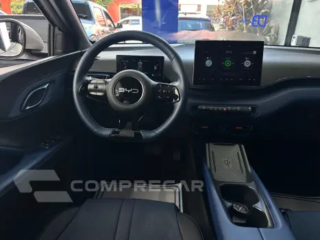 Dolphin Mini (Elétrico)