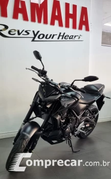 MT-03 Abs
