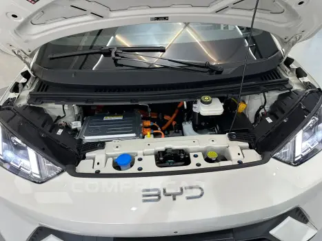 Dolphin EV GS (Elétrico)