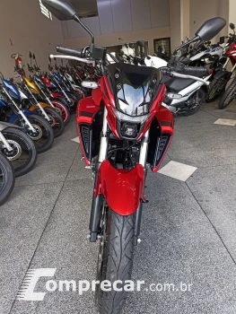 FZ25 250 FAZER CONNECTED