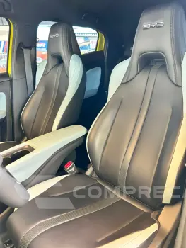 Dolphin Mini (Elétrico)