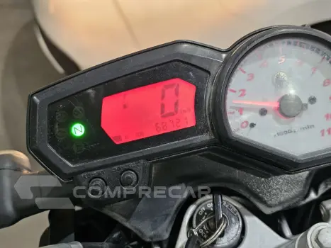 YS 250 FAZER/ FAZER L. EDITION /BLUEFLEX
