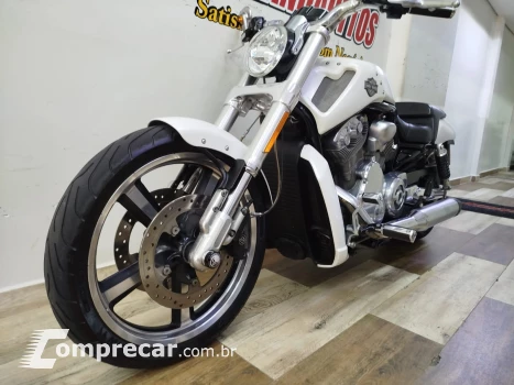 V Rod Custom 1250 cc