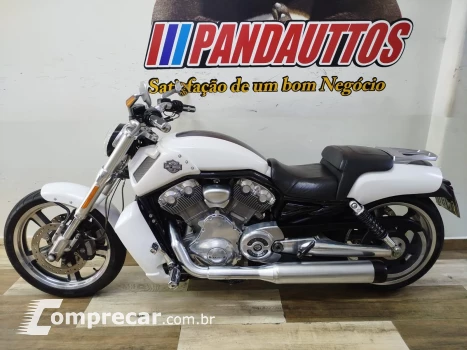 V Rod Custom 1250 cc