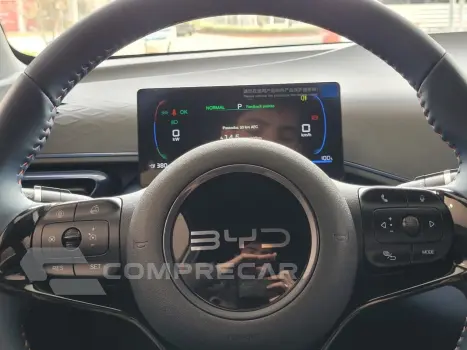 Dolphin Mini GS (Elétrico)