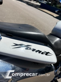 hornet 600