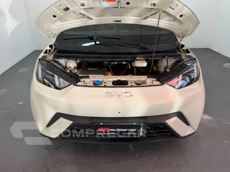 Dolphin Mini (Elétrico)