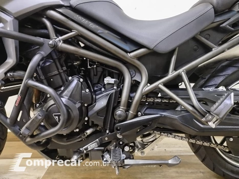 Tiger 800 800 cc