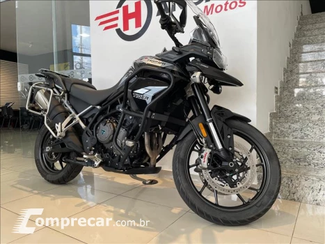 TIGER 900 GT PRO