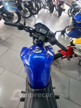 YS 150 FAZER SED