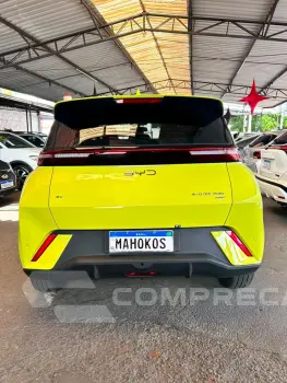 Dolphin Mini (Elétrico)