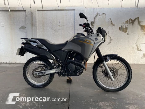 XTZ 250 TENERE/TENERE BLUEFLEX