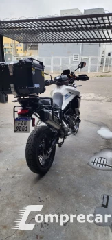 tiger 900 rally pro