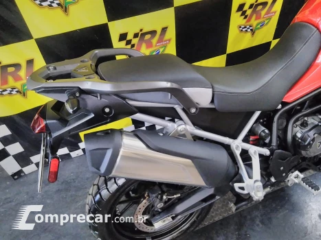 Tiger 900 gt pro