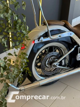 SOFTAIL DELUXE FLSTN