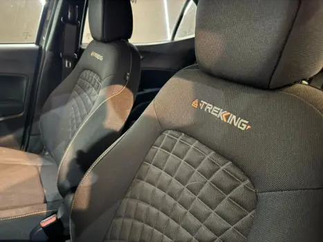 ARGO TREKKING 1.3 8V Flex