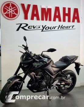 MT-03 Abs