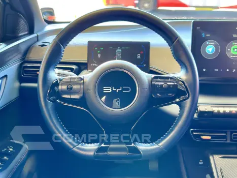 DOLPHIN MINI GS EV