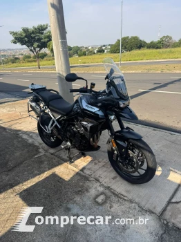 TIGER 900 GT PRO