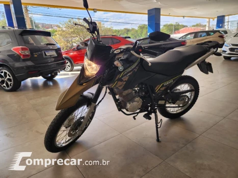 XTZ XTZ 150 CROSSER Z FLEX
