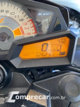 Z300