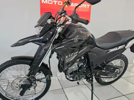 XTZ 250 Lander