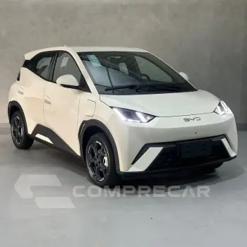 Dolphin Mini (Elétrico)