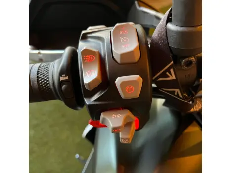 TIGER 900 RALLY PRO