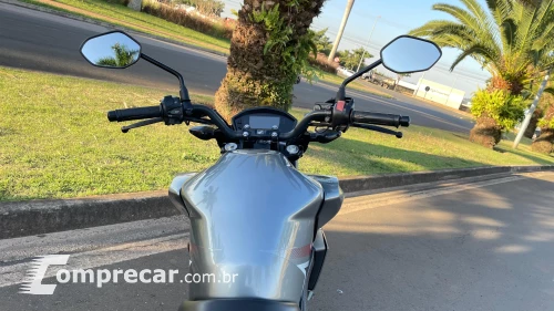 CB 250F TWISTER