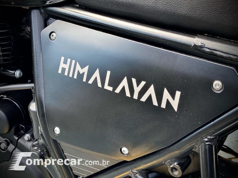 Himalayan