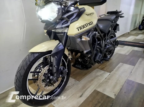 Tiger 800 800 cc