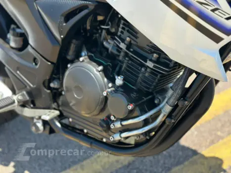 YS 250 FAZER BLUEFLEX