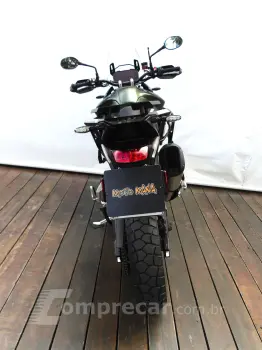 TRIUMPH TIGER 900 RALLY