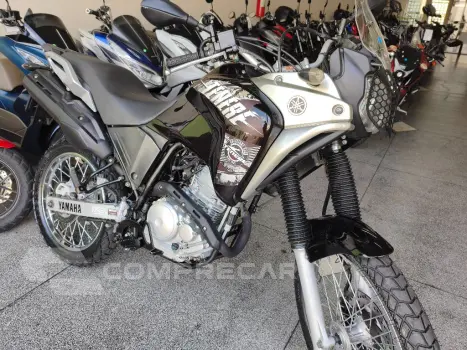 XTZ 250 TENERE/TENERE BLUEFLEX
