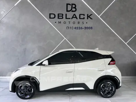 Dolphin Mini (Elétrico)