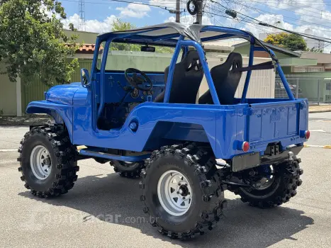 JEEP WILLYS 2.0 AP