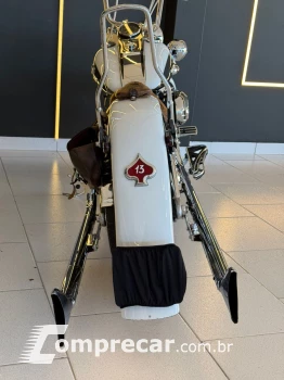 SOFTAIL DELUXE FLSTN