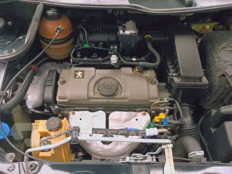 207 1.4 Xr 8V Flex 4P Manual